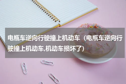 电瓶车逆向行驶撞上机动车（电瓶车逆向行驶撞上机动车,机动车损坏了）