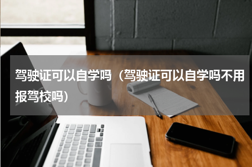 驾驶证可以自学吗（驾驶证可以自学吗不用报驾校吗）