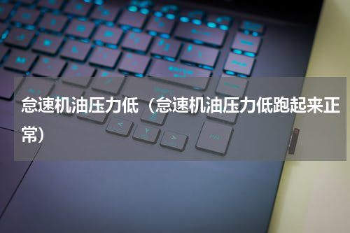 怠速机油压力低（怠速机油压力低跑起来正常）