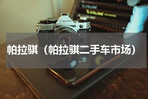 帕拉骐(帕拉骐二手车市场)