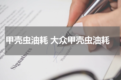 甲壳虫油耗 大众甲壳虫油耗