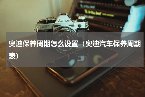 奥迪保养周期怎么设置（奥迪汽车保养周期表）