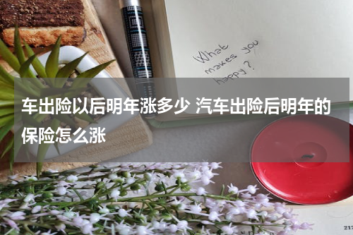 车出险以后明年涨多少 汽车出险后明年的保险怎么涨