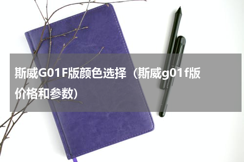 斯威G01F版颜色选择（斯威g01f版价格和参数）