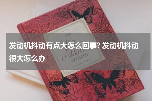 发动机抖动有点大怎么回事? 发动机抖动很大怎么办