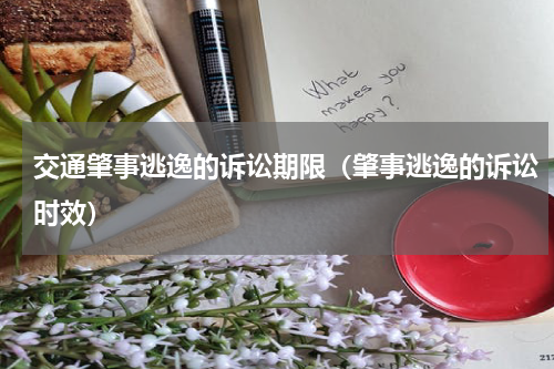 交通肇事逃逸的诉讼期限(肇事逃逸的诉讼时效)