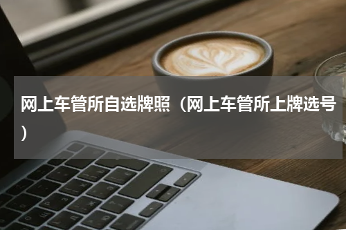 网上车管所自选牌照（网上车管所上牌选号）