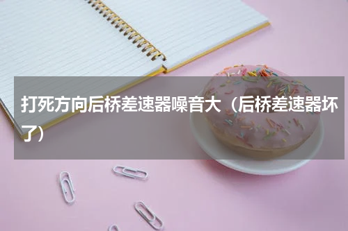 打死方向后桥差速器噪音大（后桥差速器坏了）