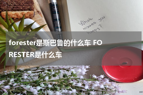 forester是斯巴鲁的什么车 FORESTER是什么车