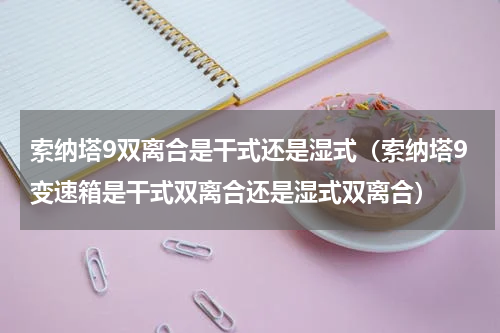 索纳塔9双离合是干式还是湿式(索纳塔9变速箱是干式双离合还是湿式双离合)