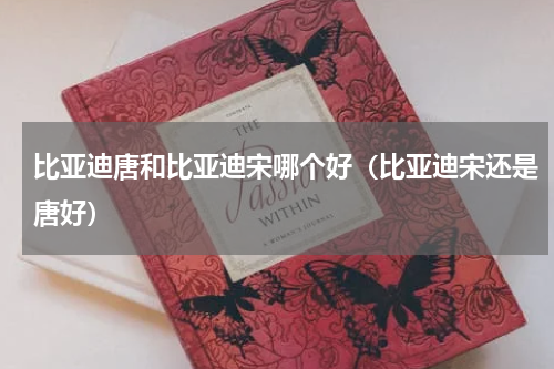 比亚迪唐和比亚迪宋哪个好（比亚迪宋还是唐好）