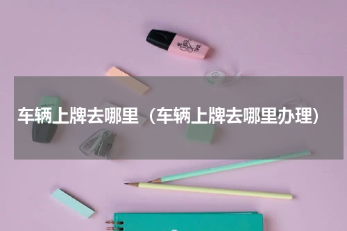 车辆上牌去哪里（车辆上牌去哪里办理）