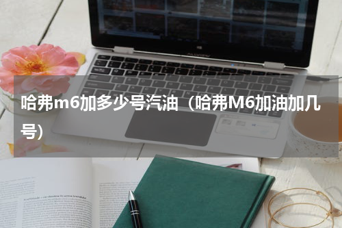 哈弗m6加多少号汽油(哈弗M6加油加几号)