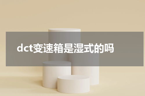 dct变速箱是湿式的吗