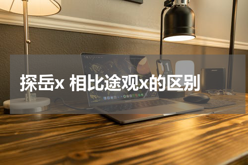 探岳x 相比途观x的区别