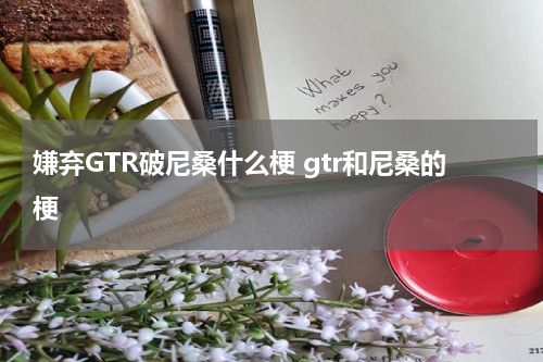 嫌弃GTR破尼桑什么梗 gtr和尼桑的梗