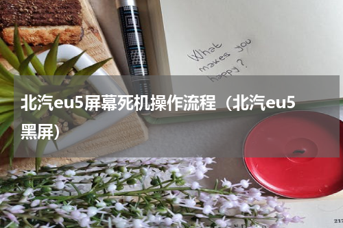 北汽eu5屏幕死机操作流程（北汽eu5黑屏）