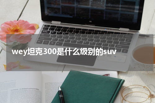 wey坦克300是什么级别的suv