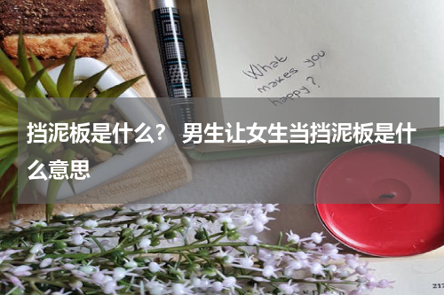 挡泥板是什么？ 男生让女生当挡泥板是什么意思