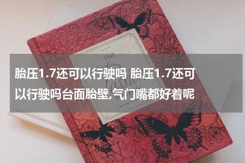 胎压1.7还可以行驶吗 胎压1.7还可以行驶吗台面胎壁,气门嘴都好着呢