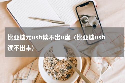 比亚迪元usb读不出u盘（比亚迪usb读不出来）
