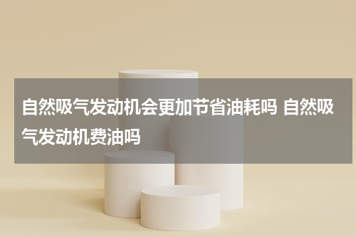 自然吸气发动机会更加节省油耗吗 自然吸气发动机费油吗