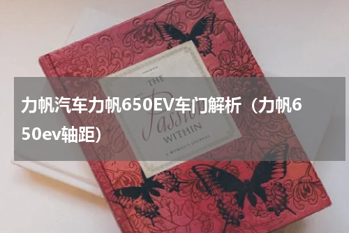 力帆汽车力帆650EV车门解析（力帆650ev轴距）