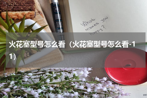 火花塞型号怎么看（火花塞型号怎么看-11）