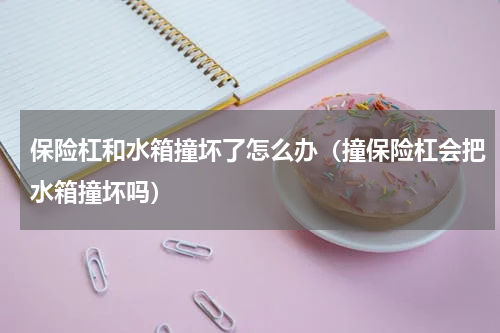 保险杠和水箱撞坏了怎么办（撞保险杠会把水箱撞坏吗）