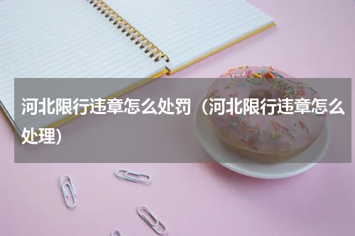 河北限行违章怎么处罚（河北限行违章怎么处理）