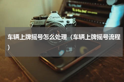 车辆上牌摇号怎么处理（车辆上牌摇号流程）