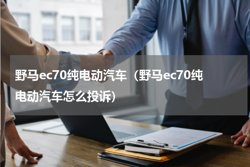 野马ec70纯电动汽车（野马ec70纯电动汽车怎么投诉）