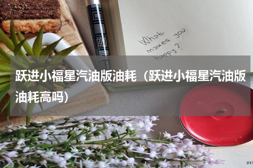 跃进小福星汽油版油耗（跃进小福星汽油版油耗高吗）