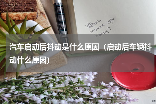 汽车启动后抖动是什么原因（启动后车辆抖动什么原因）