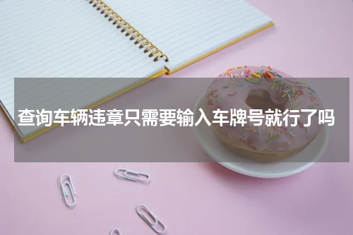 查询车辆违章只需要输入车牌号就行了吗