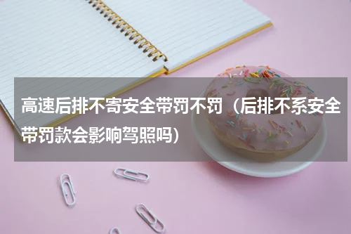 高速后排不寄安全带罚不罚（后排不系安全带罚款会影响驾照吗）