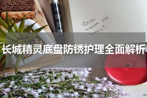 长城精灵底盘防锈护理全面解析