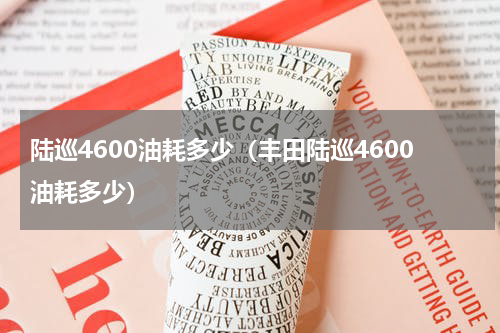 陆巡4600油耗多少(丰田陆巡4600油耗多少)