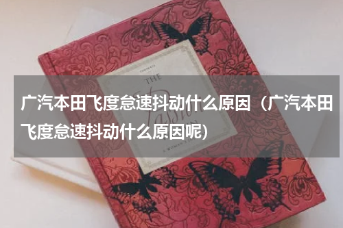 广汽本田飞度怠速抖动什么原因（广汽本田飞度怠速抖动什么原因呢）