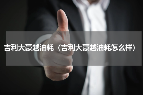 吉利大豪越油耗（吉利大豪越油耗怎么样）
