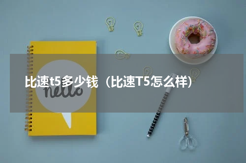 比速t5多少钱（比速T5怎么样）