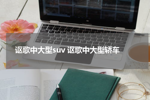 讴歌中大型suv 讴歌中大型轿车