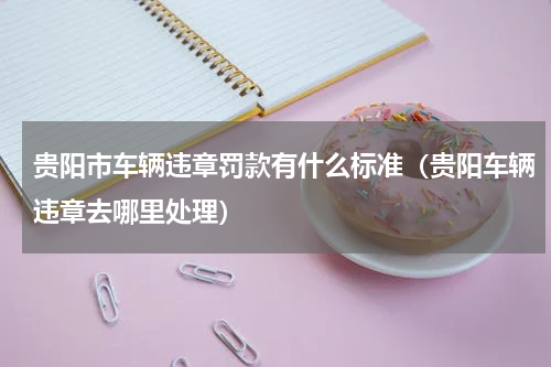 贵阳市车辆违章罚款有什么标准（贵阳车辆违章去哪里处理）