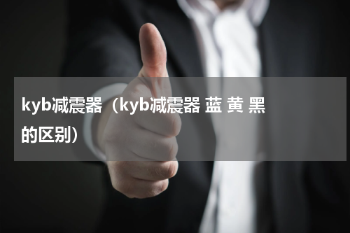 kyb减震器（kyb减震器 蓝 黄 黑的区别）