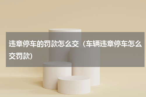 违章停车的罚款怎么交（车辆违章停车怎么交罚款）