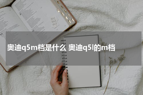 奥迪q5m档是什么 奥迪q5l的m档