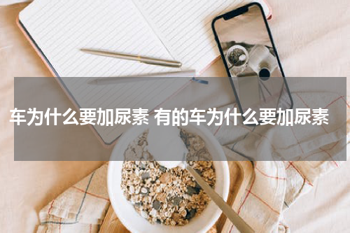 车为什么要加尿素 有的车为什么要加尿素