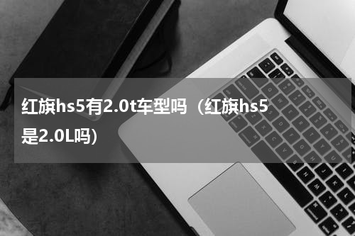 红旗hs5有2.0t车型吗（红旗hs5是2.0L吗）