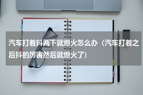 汽车打着抖两下就熄火怎么办(汽车打着之后抖的厉害然后就熄火了)