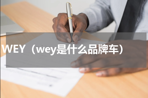 WEY（wey是什么品牌车）